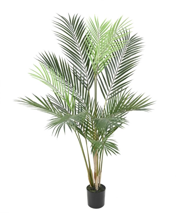 ARECA Artificiel 100cm