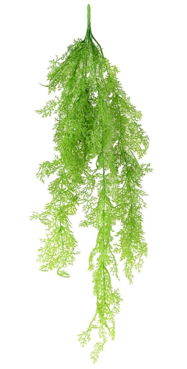 ASPARAGUS Artificiel