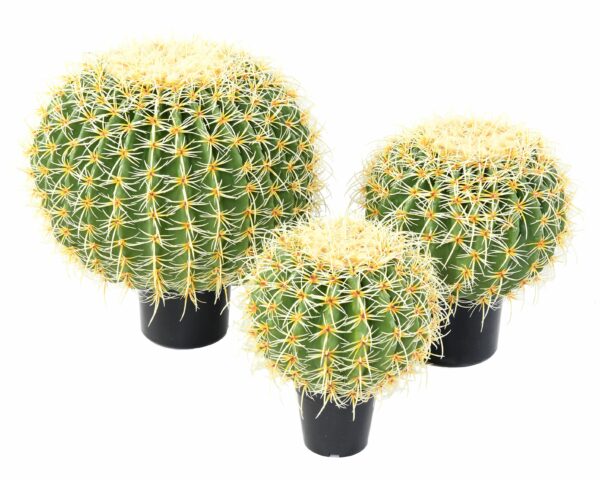 CACTUS Boule Artificiel