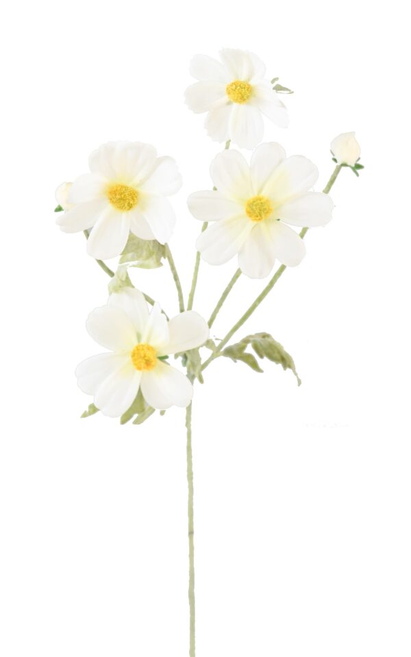Cosmos artificiel