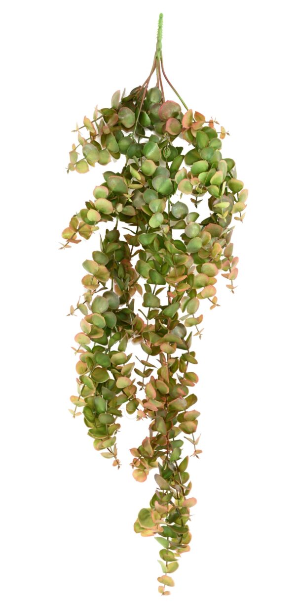 EUCALYPTUS Artificiel