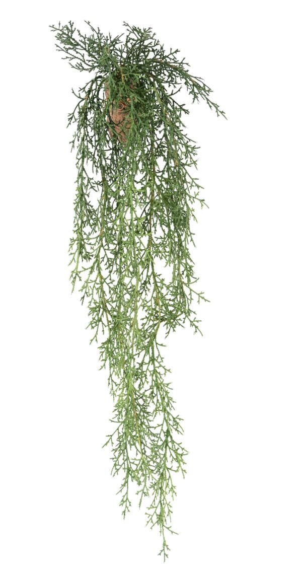 JUNIPERUS CHUTE Artificiel