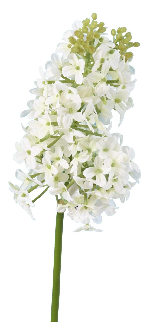 LILAS Artificiel