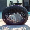 NICHE A CHIEN