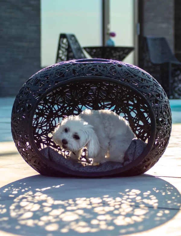 NICHE A CHIEN