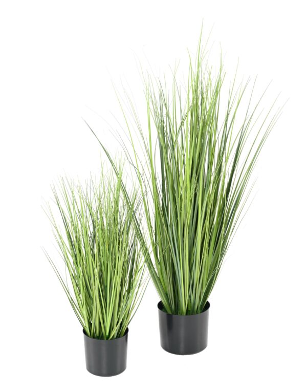 ONION GRASS Artificielle