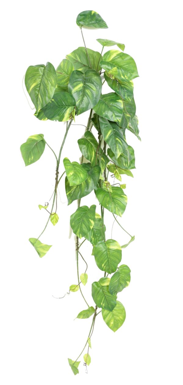 POTHOS CHUTE LARGE Artificiel