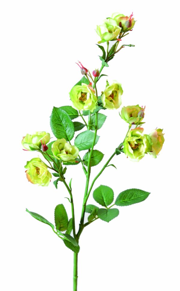 ROSE SAUVAGE Artificielle