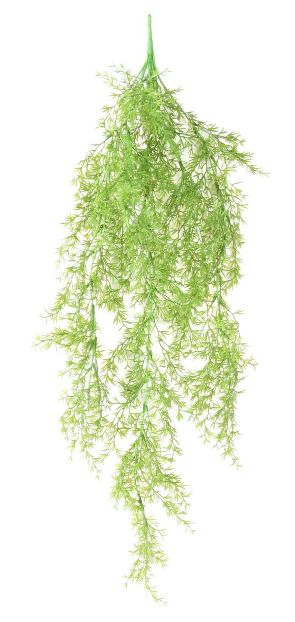 SELAGINELLE Artificielle